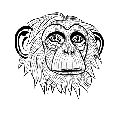 monkey chimpanzee head