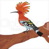 bird hoopoe vector illustration
