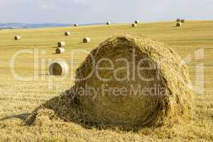 Round bales in the field