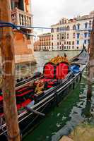 venice italy gondolas on canal