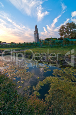 venice burano mazorbo vineyard