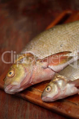 common bream