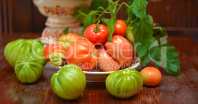 the tomato (solanum lycopersicum)