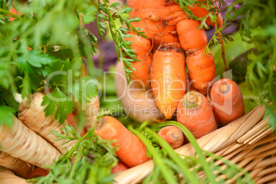 vegetable basket