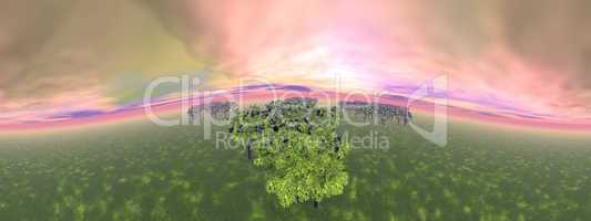 Forests - 3D render