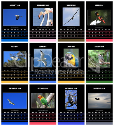 Birds calendar for 2014