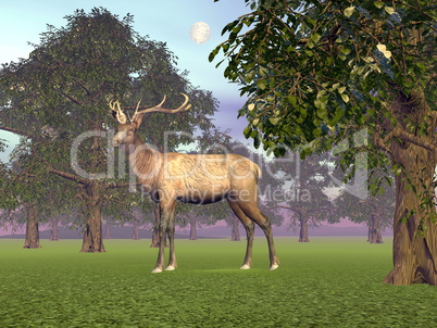 Elk in the woods - 3D render