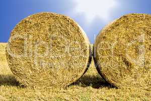 Round bales in the field