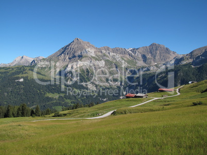 Spitzhorn