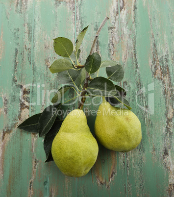 Yellow Pears