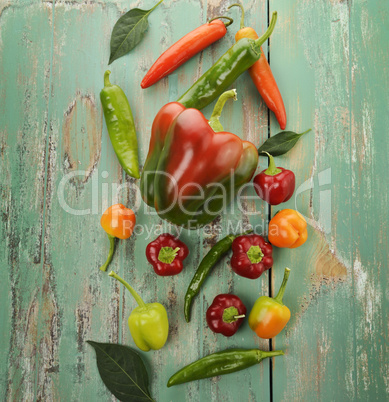 Raw Peppers Assortment