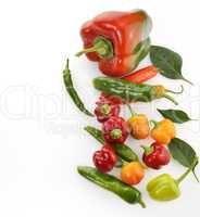 Raw Peppers Assortment