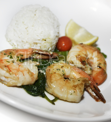 Grilled Shrimps With Rice