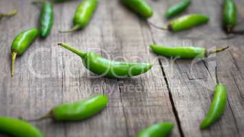 fresh jalapenos chili pepper