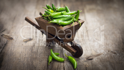 jalapenos chili pepper in a miniature wheelbarrow