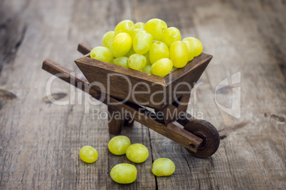 fresh green grapes in a wheelbarrow
