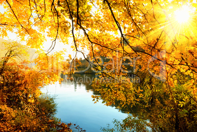 Herbstsonne am Fluss