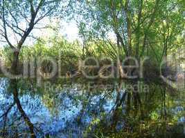 flood on the river in the spring