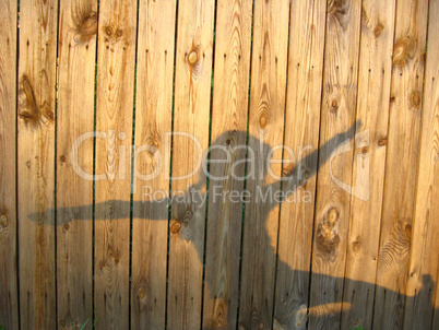 the silhouette of playing shadows on the fence