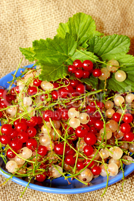 clusters of berries of red and white currant on the plate