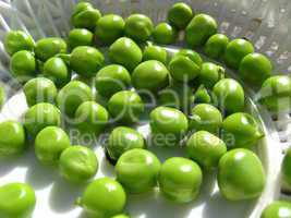 fresh green pods of peas