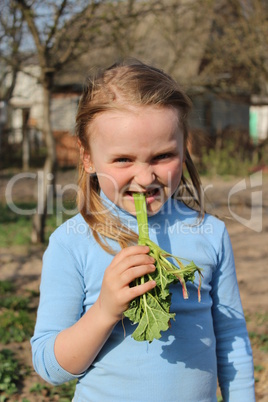 little girl chewing young sprout of a rhubard