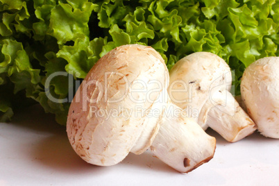 agaric and lettuce ready for the cooking