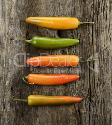 Colorful Hot Pepper