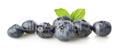 Blueberry with green leaves