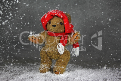 Teddy im Schnee