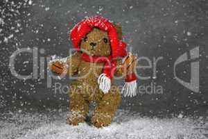 Teddy im Schnee