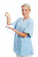 Krankenschwester zeigt Aufbau der Wirbelsäule