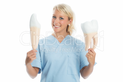 Zahnärztin zeigt Zahnaufbau