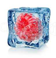 Berry raspberry in ice cube