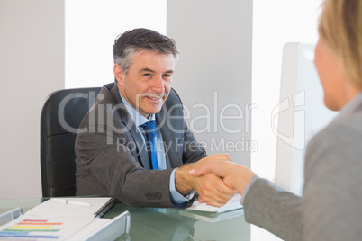 Cheerful businessman shaking the hand of a interviewee