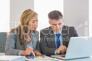 Attentive businessman showing something on computer to an attent