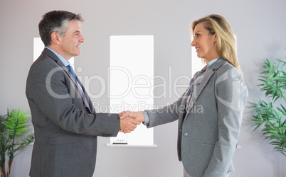 Pleased businessman shaking the hand of a content businesswoman