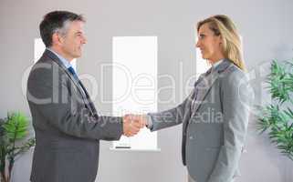 Pleased businessman shaking the hand of a content businesswoman