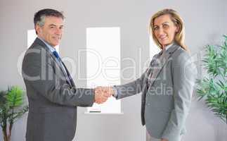 Cheerful businessman shaking the hand of a content businesswoman