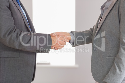 Close up on two businesspeople shaking hands