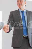 Pleased businessman shaking a hand