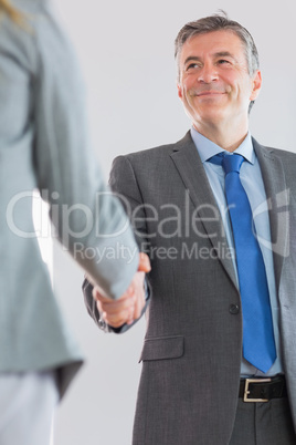 Joyful businessman shaking a hand