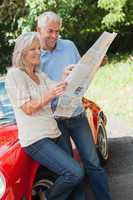 Cheerful mature couple reading map together