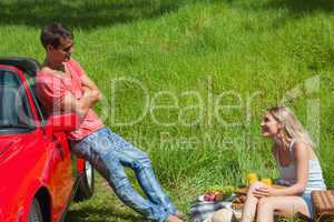 Smiling couple having picnic together