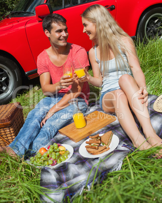 Cheerful couple sitting having picnic together