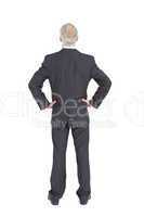 Rear view of serious mature businessman posing