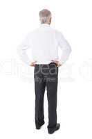 Businessman standing back to camera hands on hips