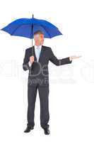 Peaceful businessman holding blue umbrella