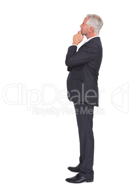 Thoughtful mature businessman posing