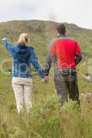 Couple holding hands with woman pointing to mountain